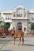Orchha - Ram Raja Mandir temple 